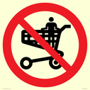 p925-prohibition-no-standing-in-trolley~